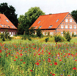 Image of 1. Deutsches Kartoffel-Hotel